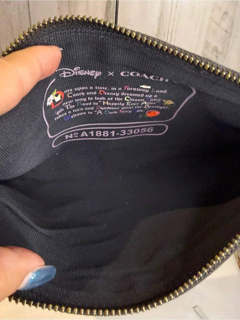 Coach disney dark